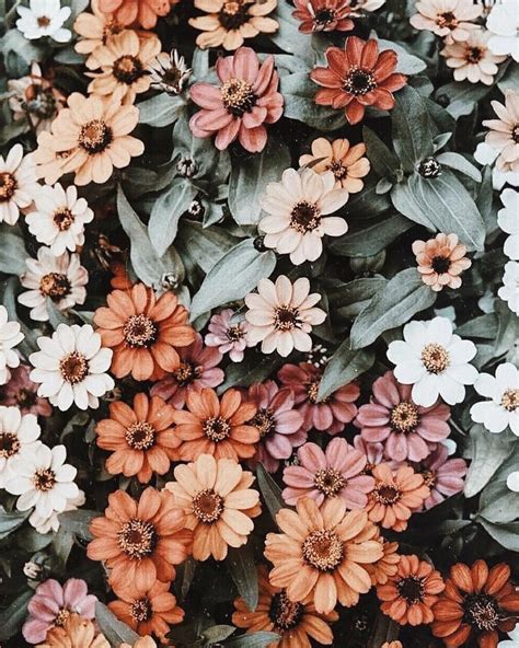 Aug 20, 2019 - Explore Barbara Skidgel's board "FLOWER DOODLES", followed by 120 people on Pinterest. . Pinterest flowers
